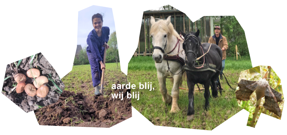 Kleverland Bodemgezondheid