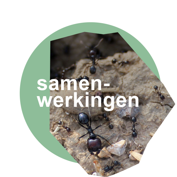 het Kleverland samenwerkingen