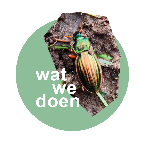 het Kleverland wat we doen